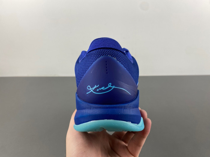 Nike Kobe 5 Protro “X-Ray” HJ4303-400