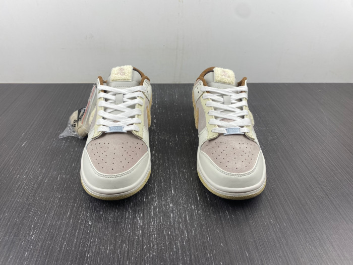 Nike Dunk Low FD4203-211