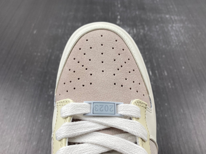 Nike Dunk Low FD4203-211