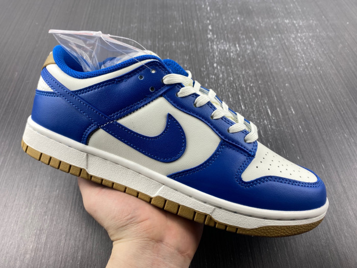 Nike Dunk Low  FB7173-141