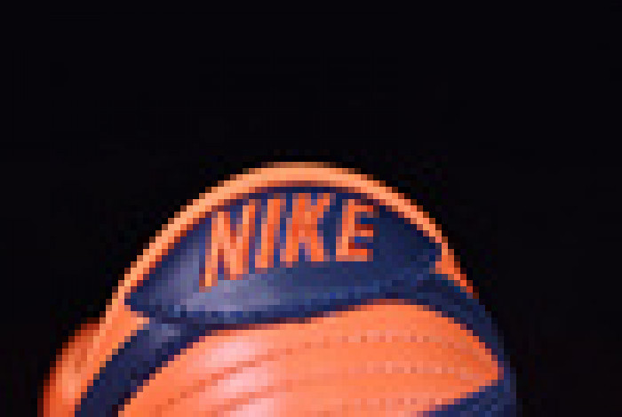 Nike Dunk Low Champ Colors (2020) CU1727-800