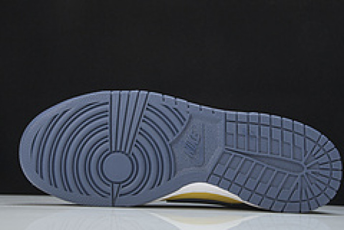 Nike Dunk Low Michigan DD1391-700