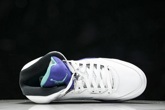 Air Jordan 5 HQ7978-100(2025)