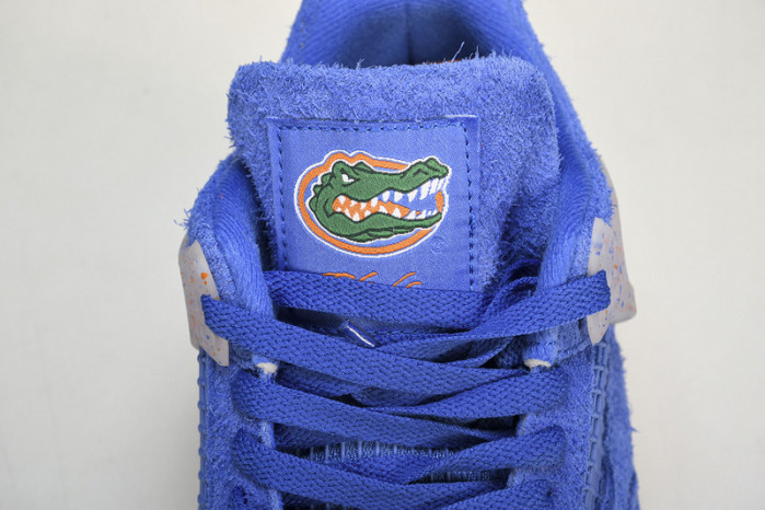 Air Jordan 4 AJ4 "Florida Gators" PE  AJ4-904283