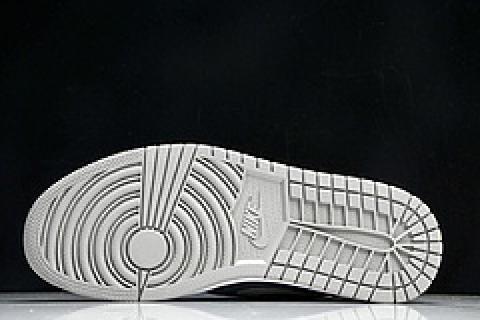 Air Jordan 1 High OG Satin Shadow FD4810-010