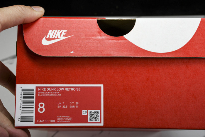 Nike Dunk Low FJ4188 100