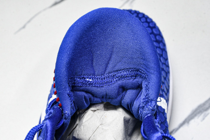 Nike Kobe 6 Protro Dodgers CW2190-400