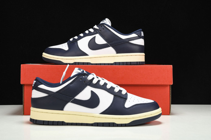 Nike Dunk Low DD1503-115