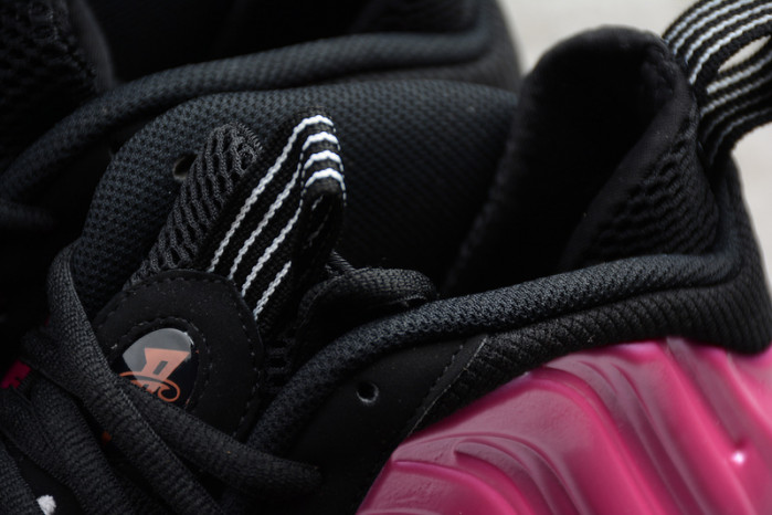 Air Foamposite One Pearlized Pink  314996-600