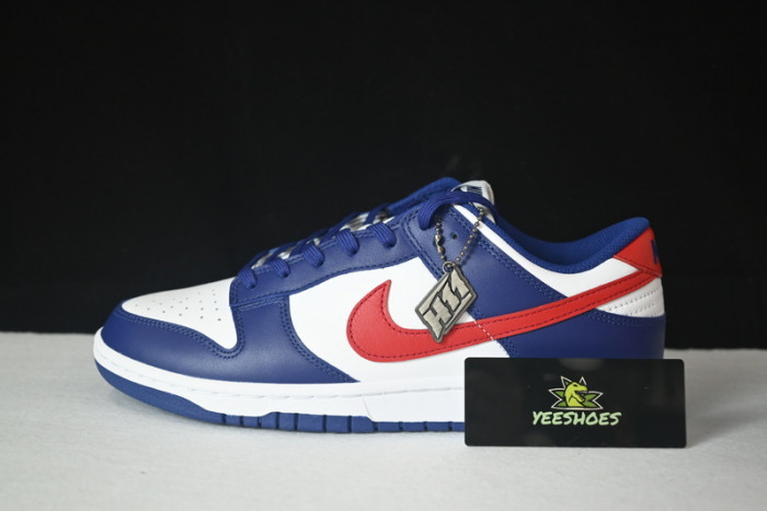 NIKE DUNK LOW DD1503-119