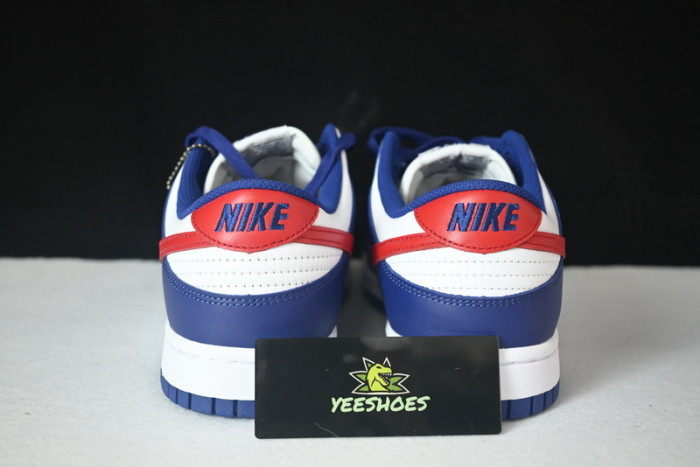 NIKE DUNK LOW DD1503-119